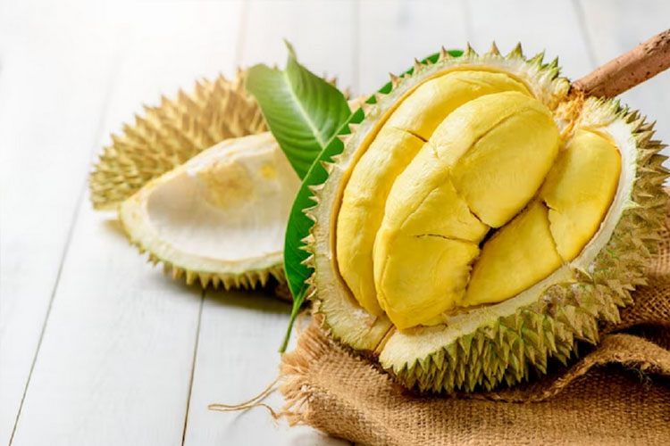 oleh-oleh khas medan ucok durian